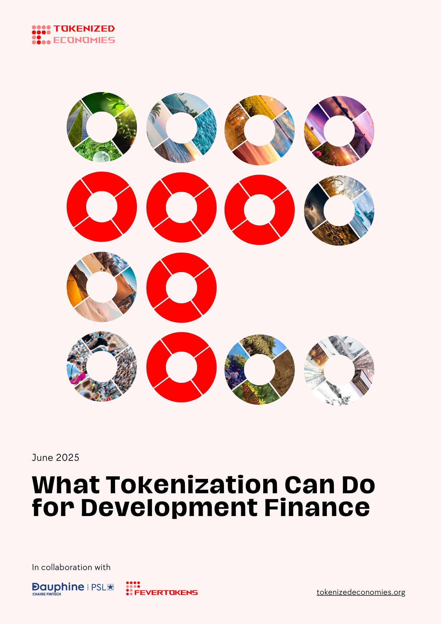 upcoming paper What Tokenization Can Do for Development Finance